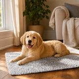 Perro golden retriever descansando sobre la manta térmica autocalentable CozyPaws en casa
